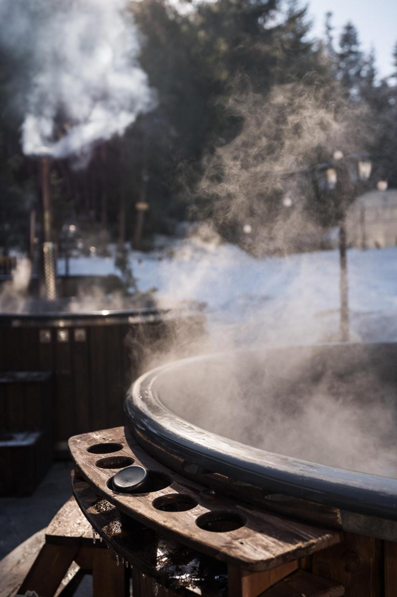 Breza Hotel Borovets Luaran gambar